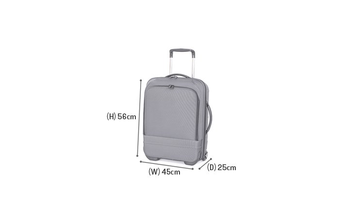 aeroplane cabin bag size