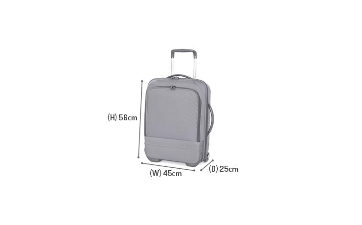 carry on luggage standard size