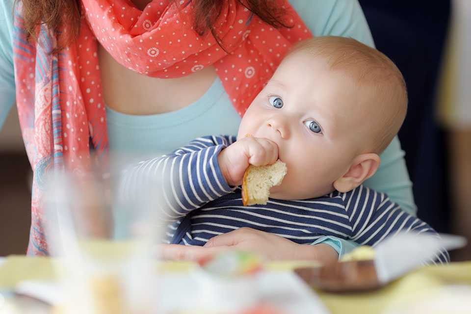 A baby eating a piece of bread sitting on his mothers lap.