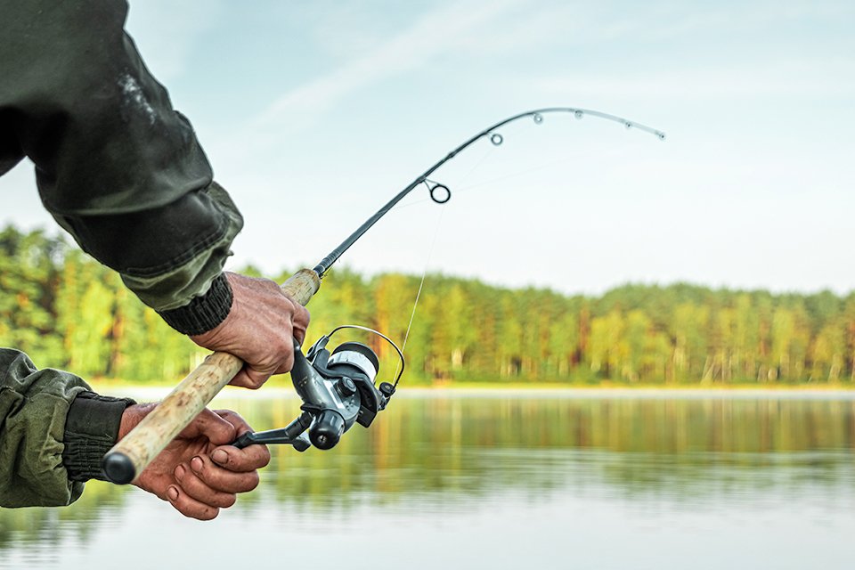 best carp fishing rod and reel combo Today's Deals - OFF 70%