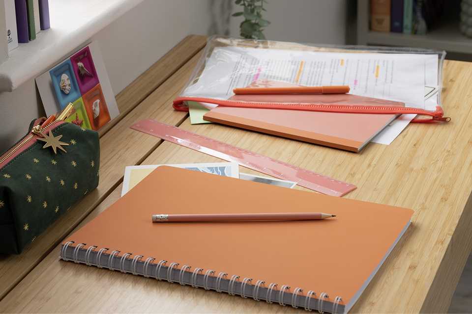 Stationary bundle in blush colour range on a desk.