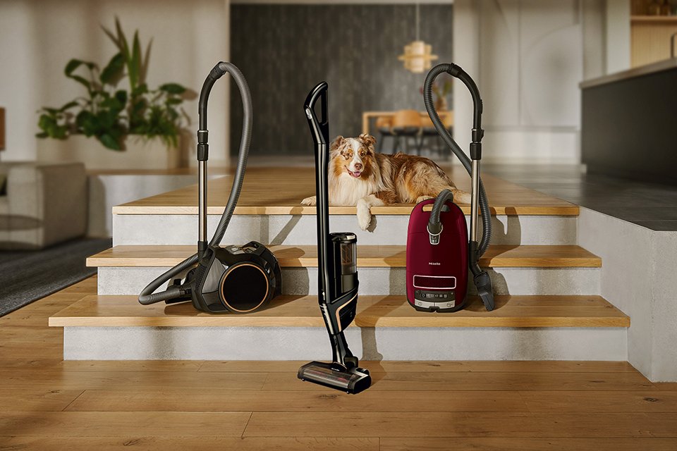 Three Miele vacuum cleaners placed on stairs next to a dog in a living room.