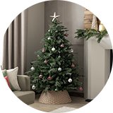 5ft trees.