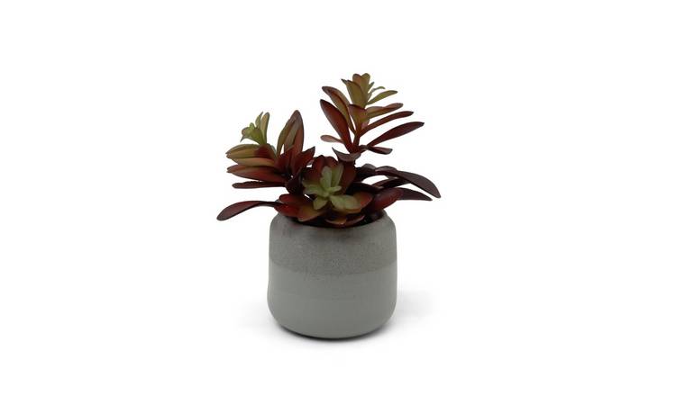 Habitat Artificial Succulent in Grey Pot