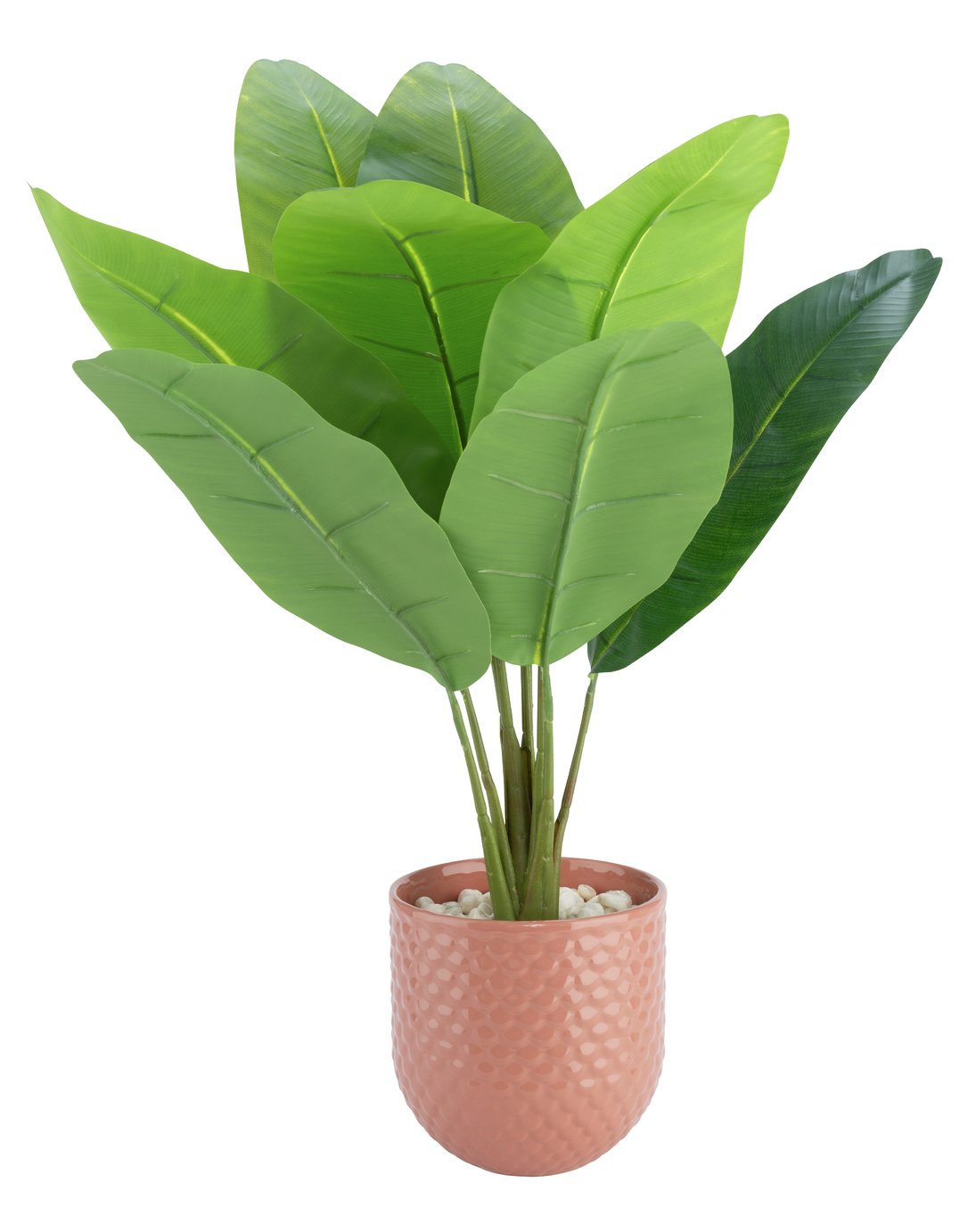 Argos Home Wilderness Artificial Pot Plant Review