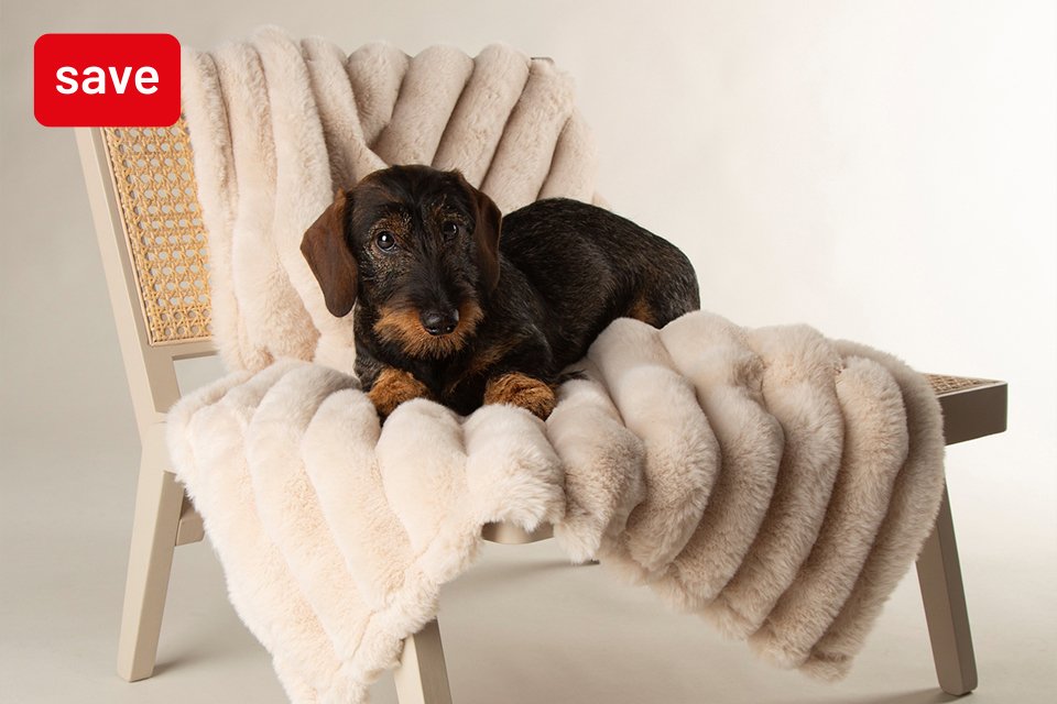 Save up to 1/3 on selected pet lines. Everything they need for a cosy return to routine.