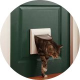Cat flaps.