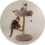Cat scratchers.