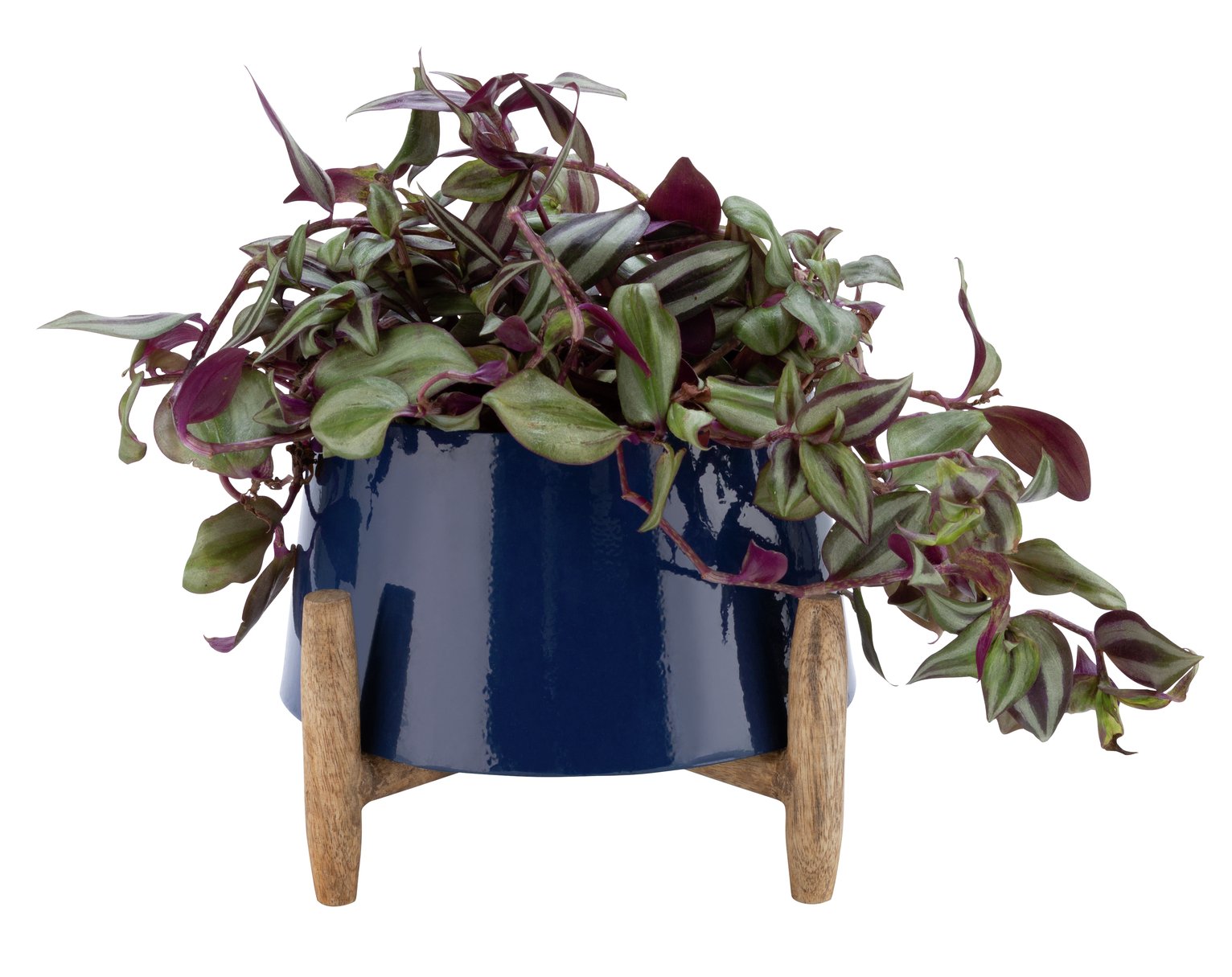 Argos Home Coastline Standing Planter Review