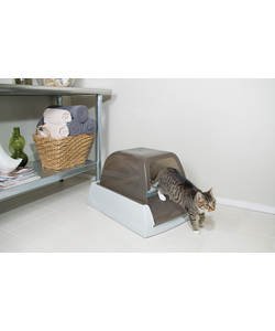 Cat accessories argos best sale