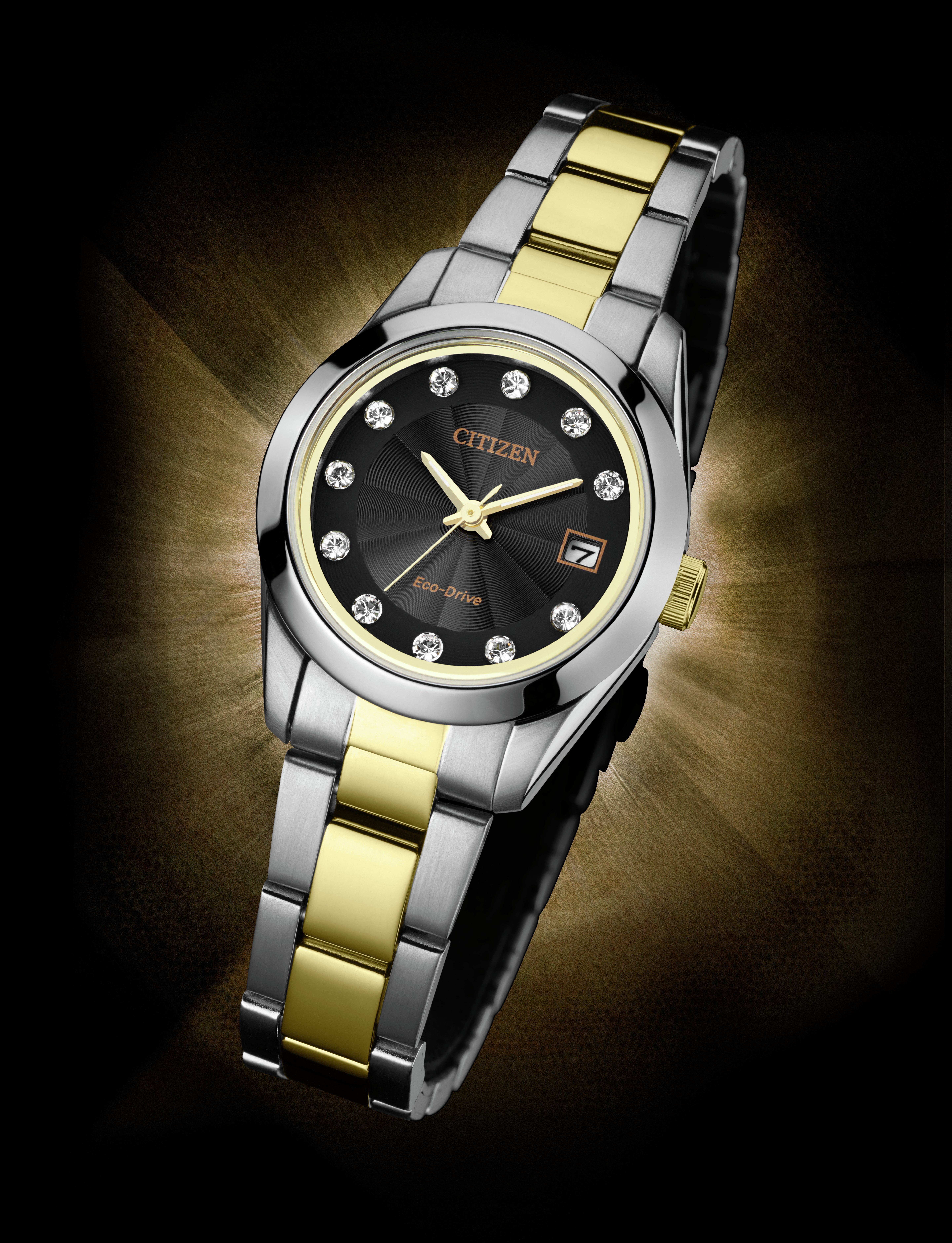 citizen eco drive two tone ladies watch