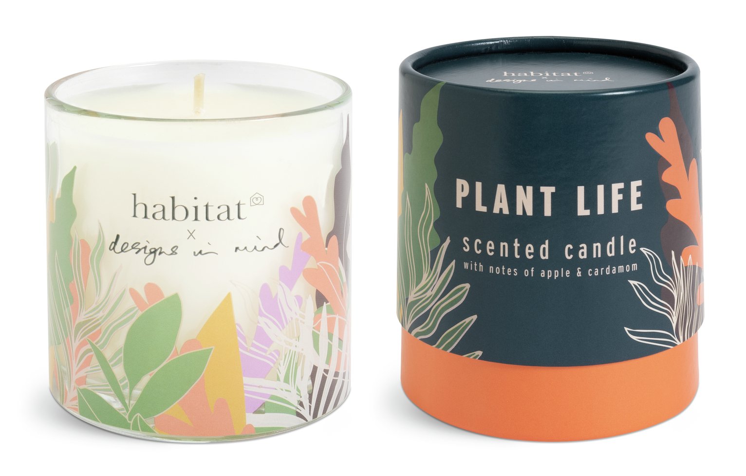 Habitat x Designs in Mind Medium Boxed Candle - Plant Life
