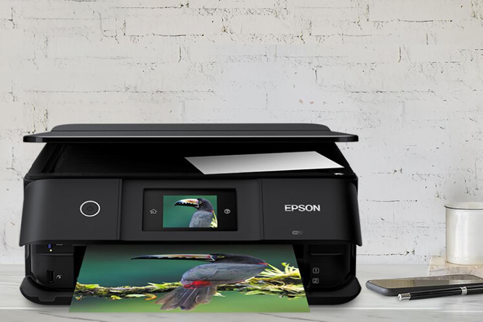Epson Argos