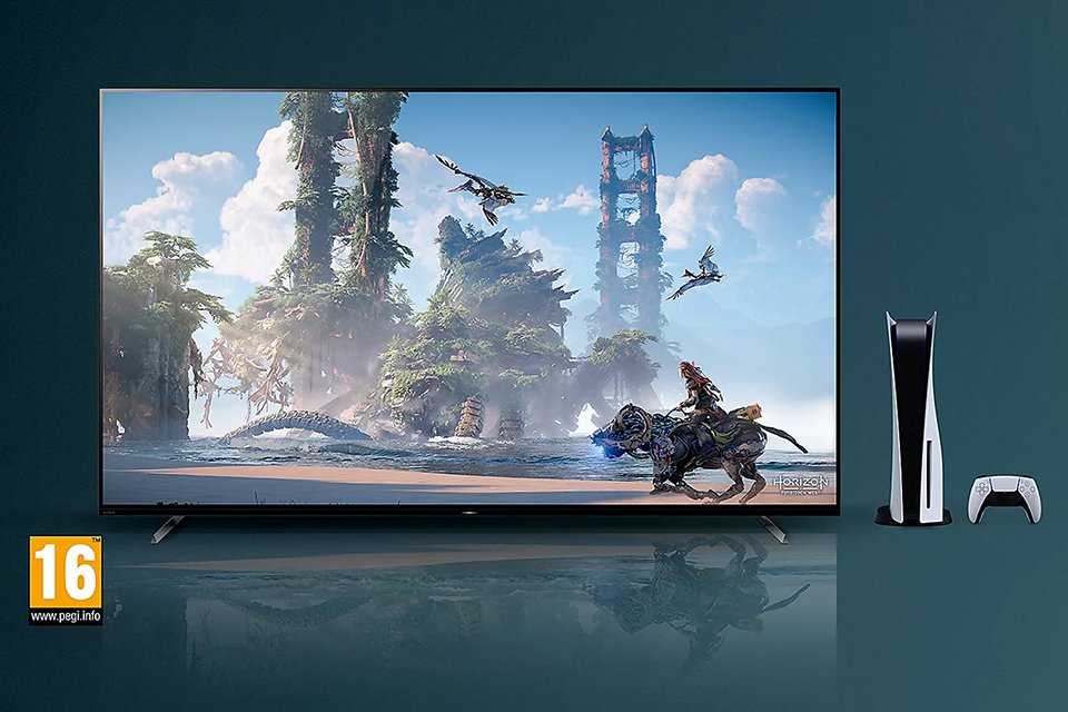 A game playing on BRAVIA TV.