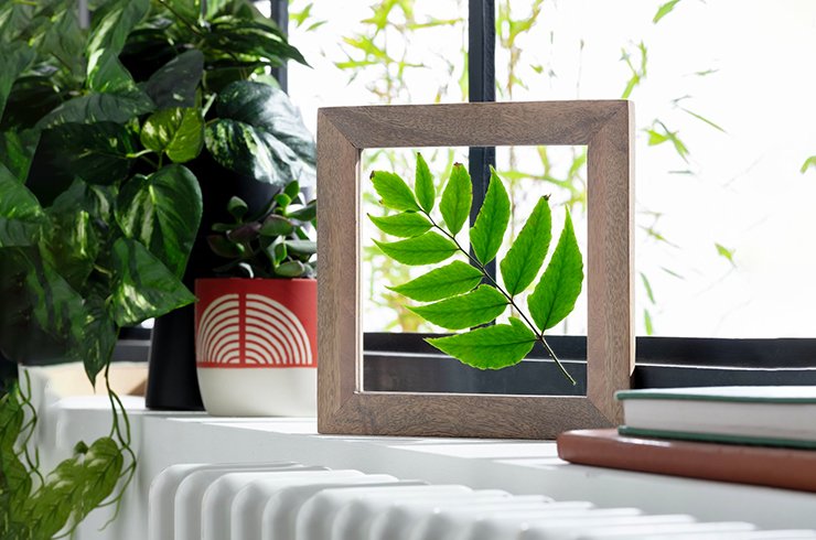 Natural wooden picture frame with leaf picture.