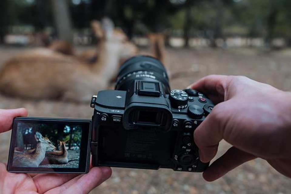 Photography enthusiast. Shop cameras, lenses, telescope and more.