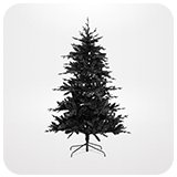 Christmas.