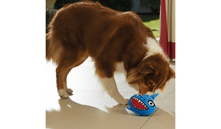 Buy JML Chuckle Chums Shark Dog Toy Dog toys Argos