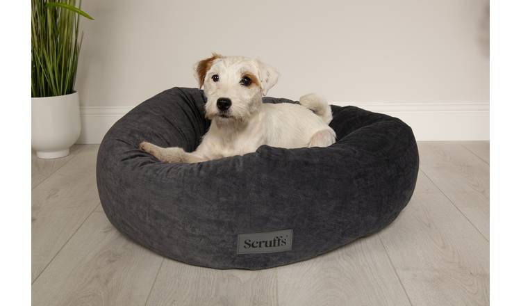 Buy Scruffs Oslo Doughnut Grey Dog Bed Large Dog beds Argos