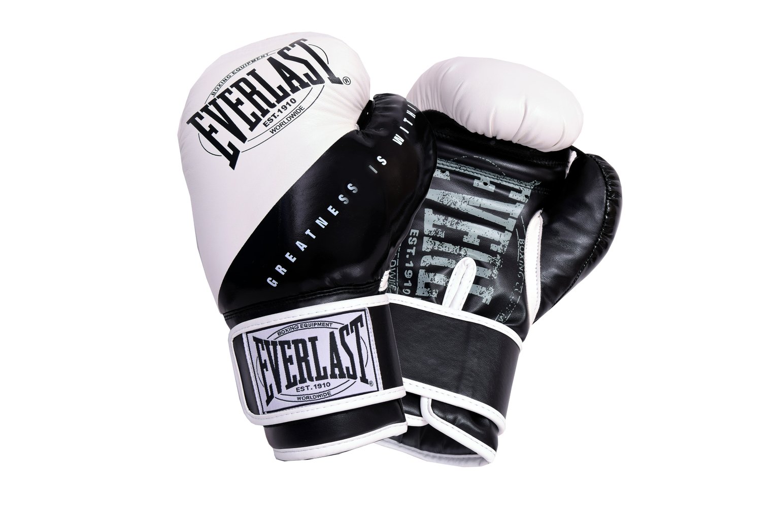 everlast boxing gloves white