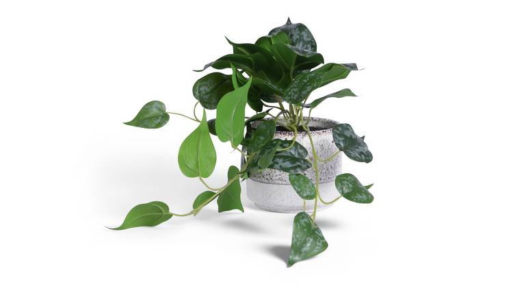 Artificial plants online argos