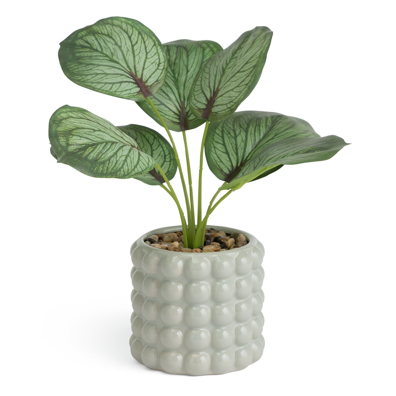 Habitat Artificial Calathea in Ceramic Bobble Pot -Grey