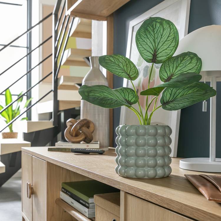 Habitat Artificial Green Calathea in Grey Ceramic Bobble Pot 0