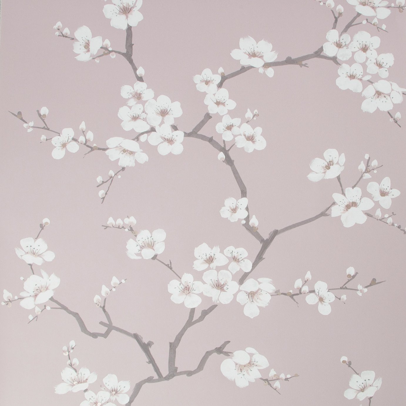 Fresco Apple Blossom Pink Wallpaper