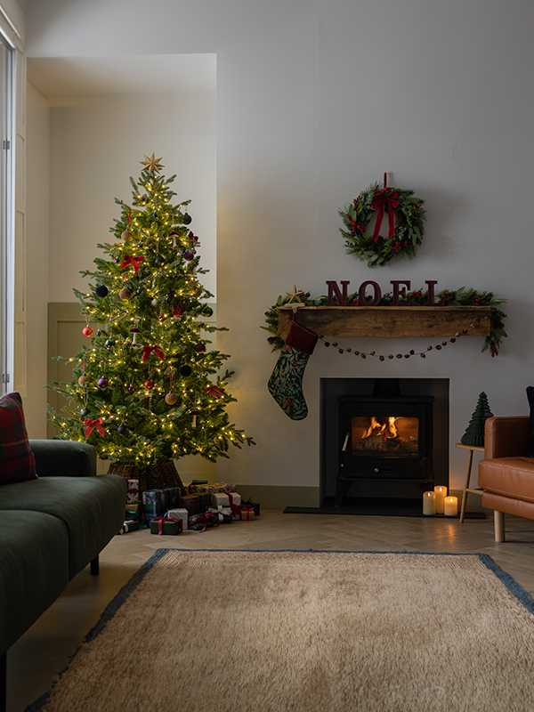 Argos christmas outdoor lights deals