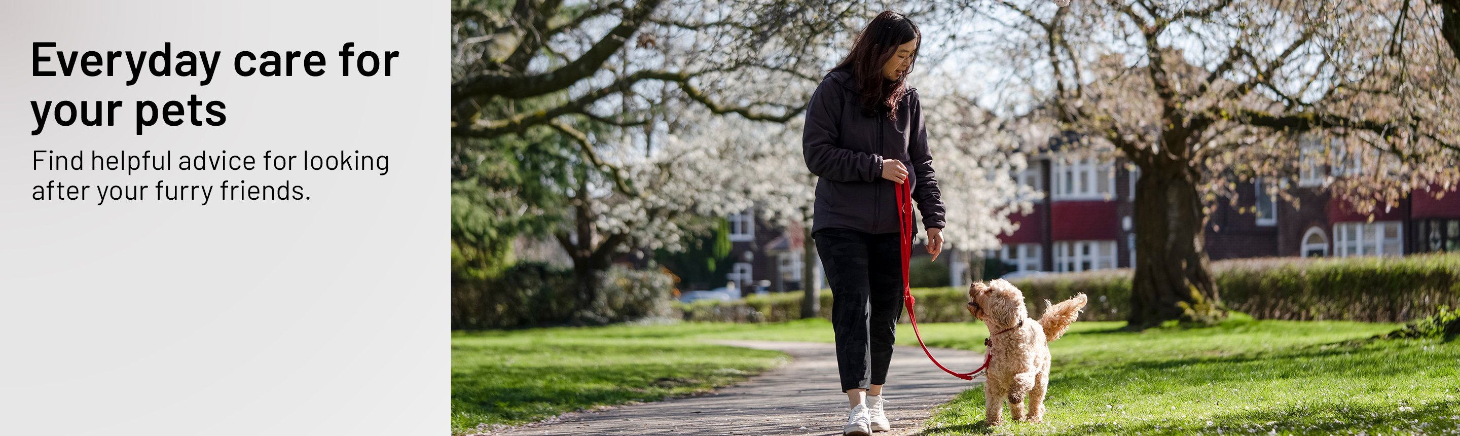 A woman walking with her dog in a park.