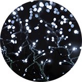 Christmas lights.