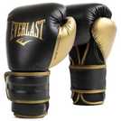 Buy Everlast Powerlock 2 16oz Glove Boxing gloves Argos