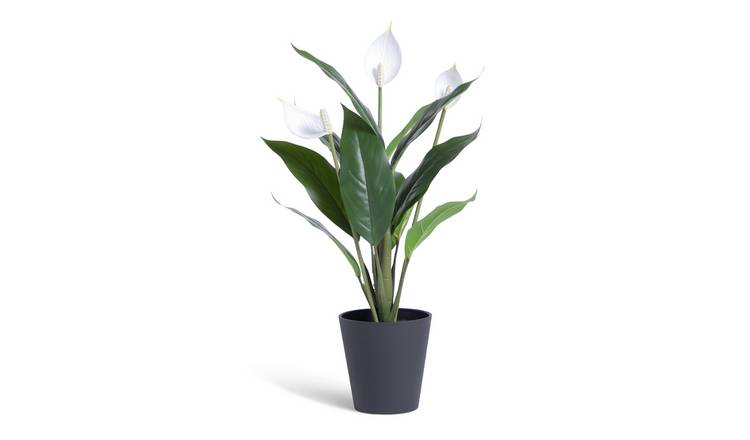Habitat Large Artificial Peace Lily Plant - White