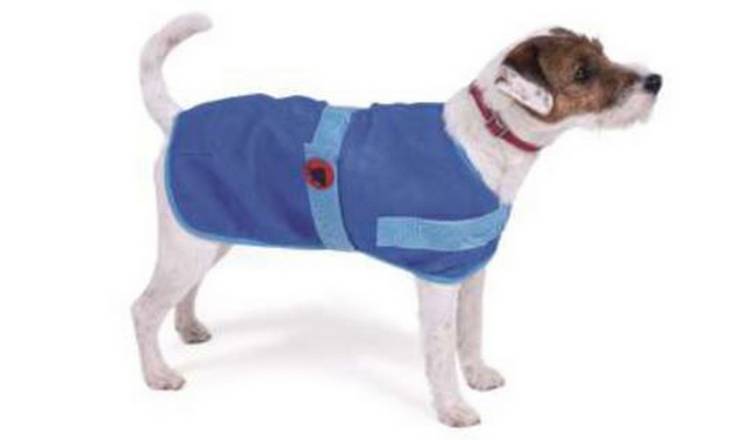 Dog cooling hot sale coat