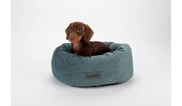 Scruffs extra hotsell large dog beds