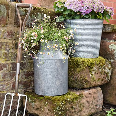 Ivyline 43cm Galvanised Milk Churn.