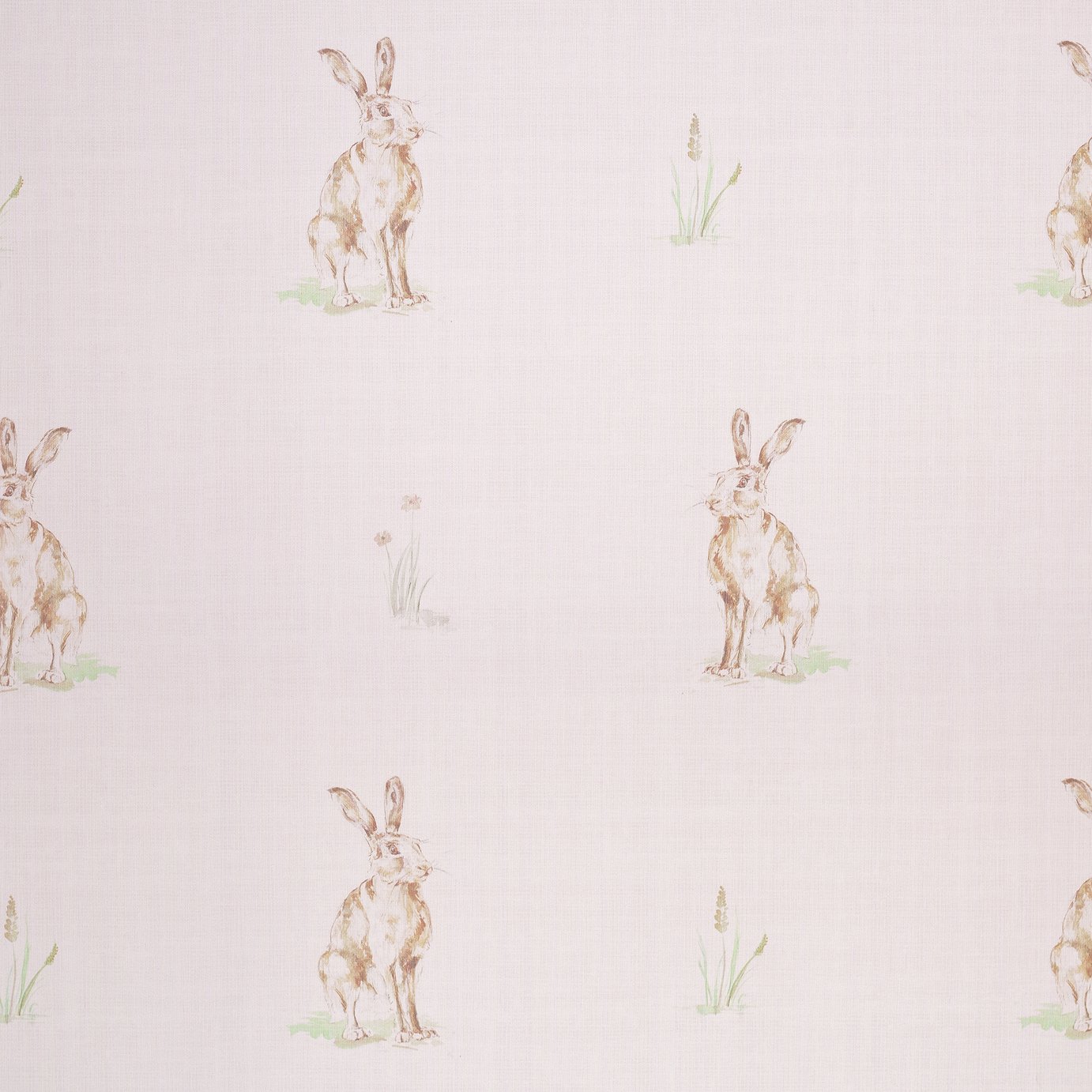 Argos Home Hare Daylight Roller Blind Review