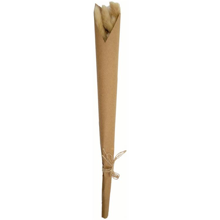 Habitat Artificial Natural Mini Dried Pampas Stem - 6.5cm 0