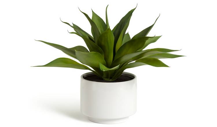 Habitat Artificial Aloe in White Pot