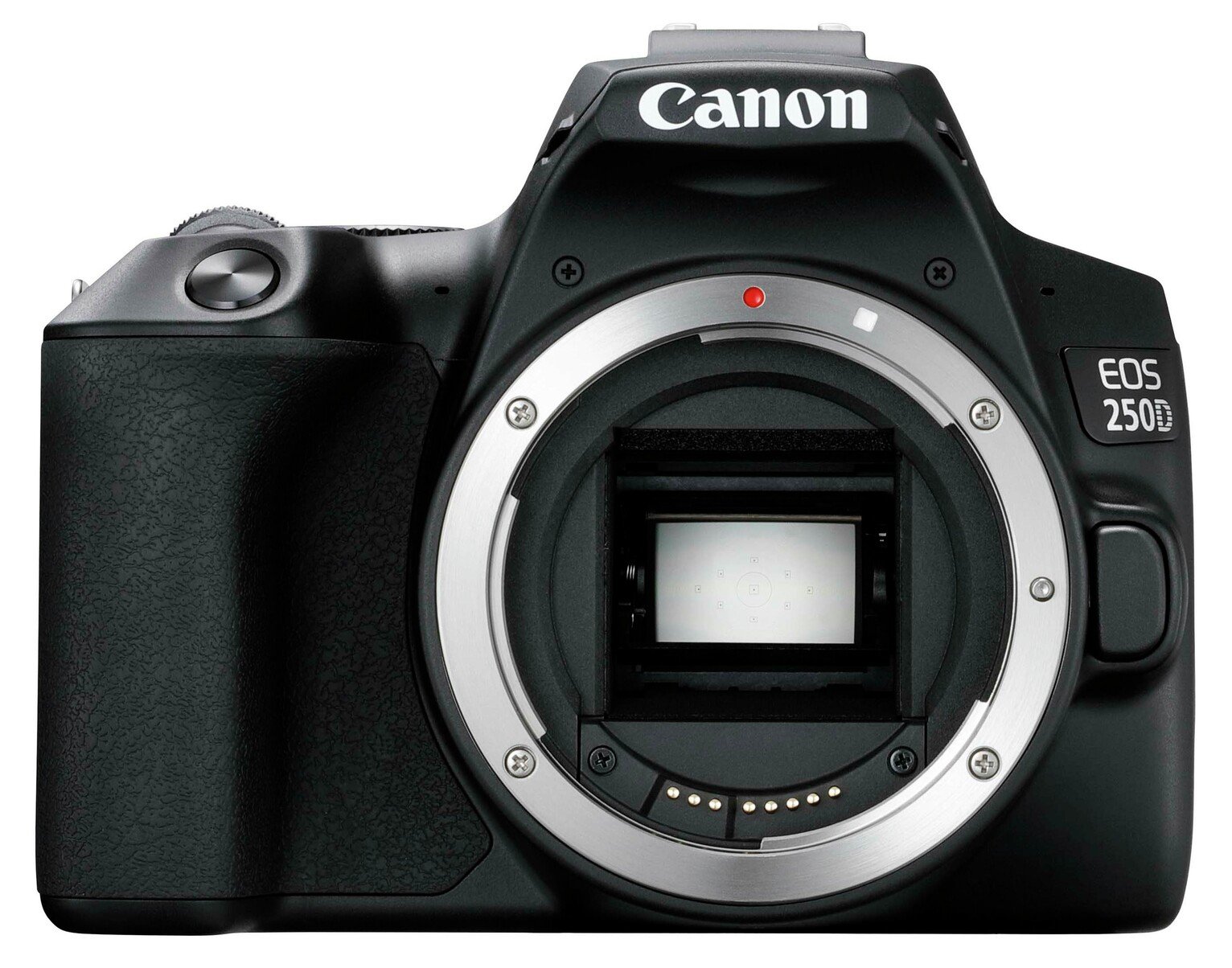 Canon EOS 250D DSLR Camera Body Review