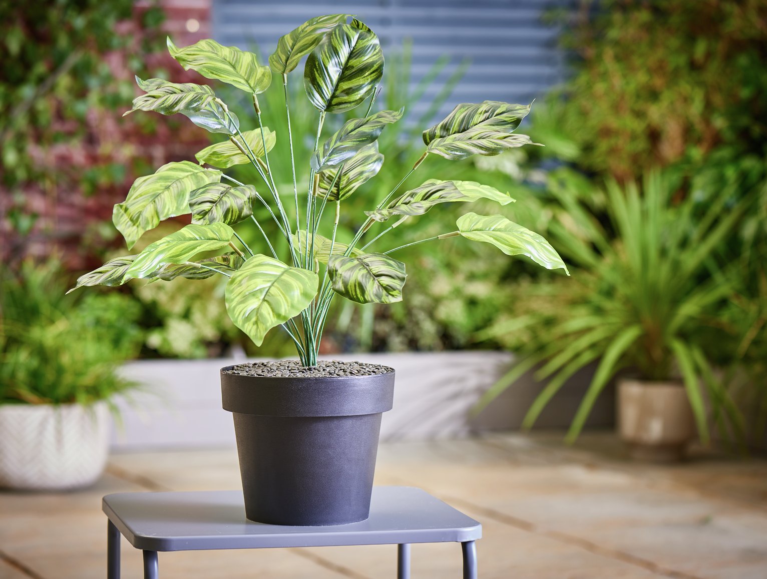 Argos Home Faux Calathea In A Pot Review