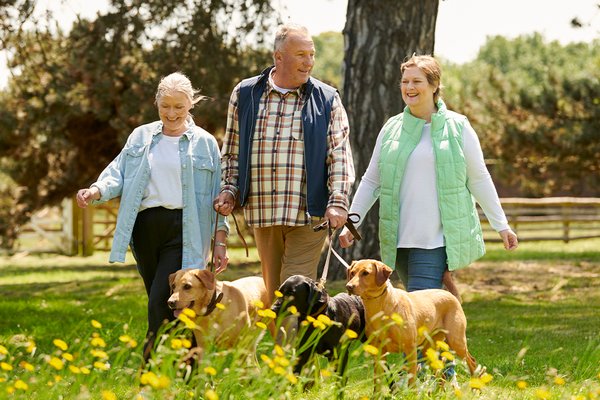 Argos walking toy dogs deals