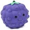Petface Vegetable Pets 5 A Day Dog Toys