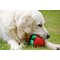 Petface Vegetable Pets 5 A Day Dog Toys