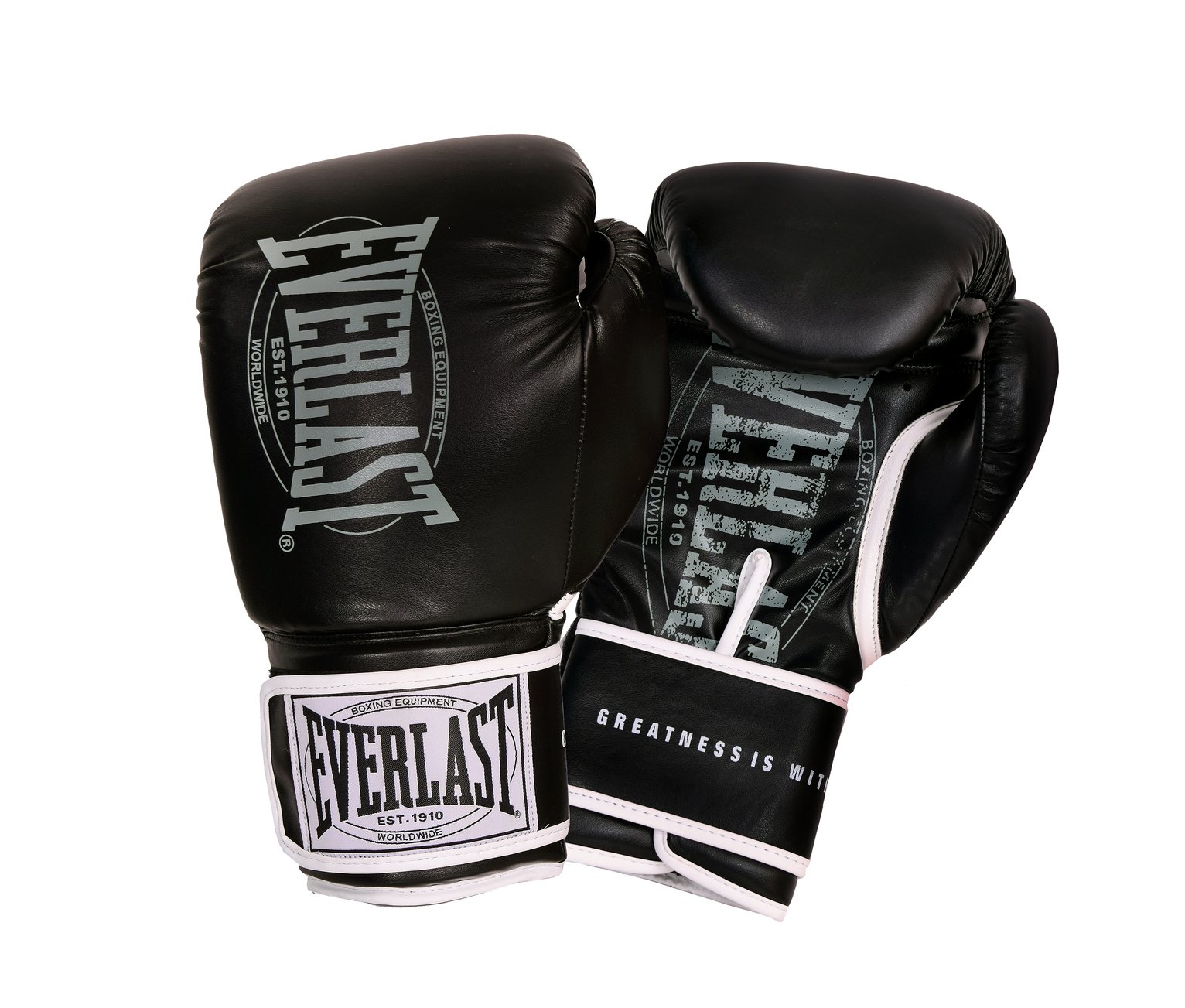 everlast 14oz leather boxing gloves
