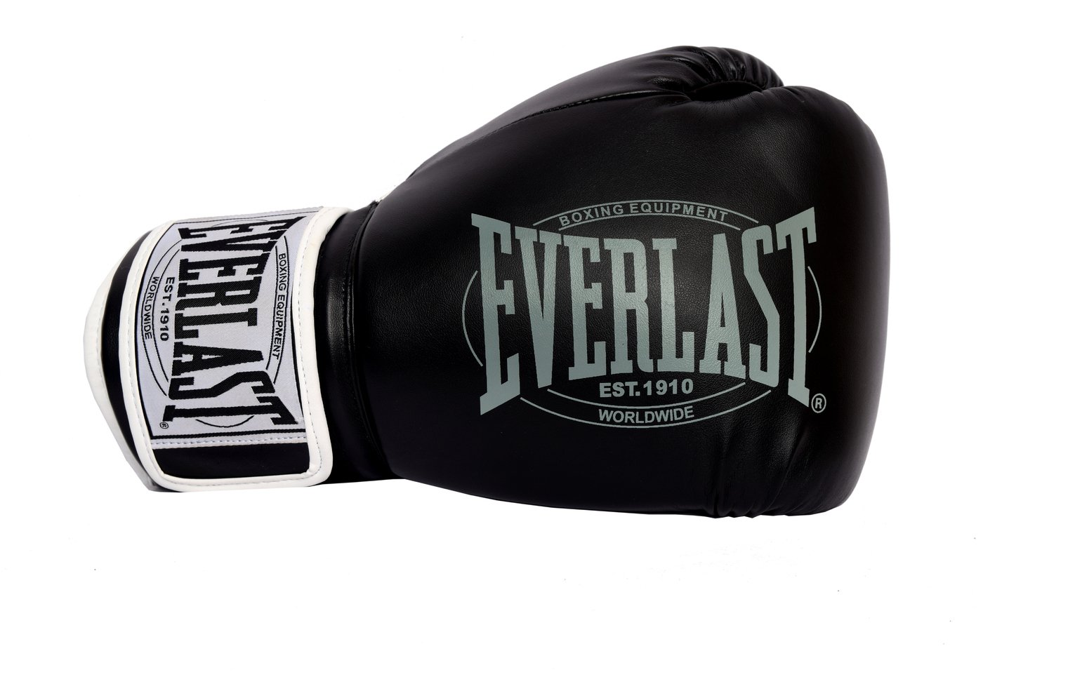 Everlast 14oz Sparring Boxing Gloves Review