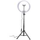 Buy Rio Professional Ring Light - Large, Novelty lights