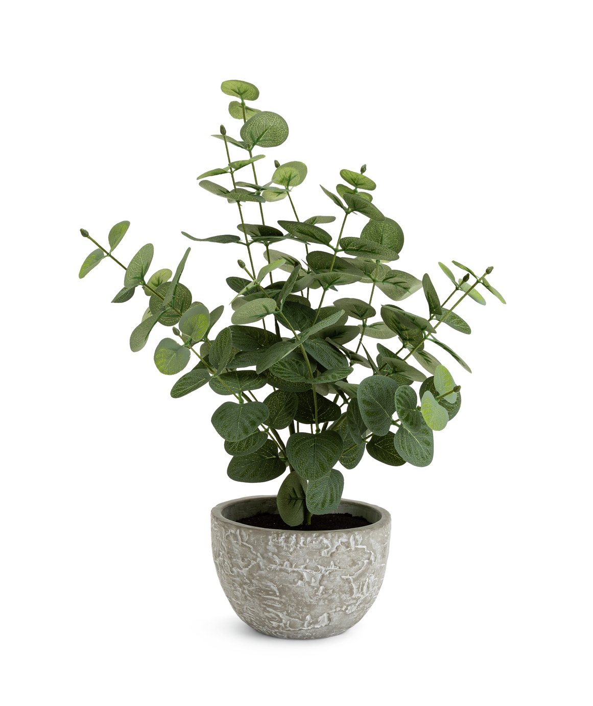 Habitat Artificial Eucalyptus Plant in Grey Pot