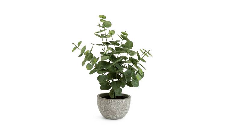 Buy Habitat Artificial Eucalyptus Plant in Grey Pot Artificial plants Habitat