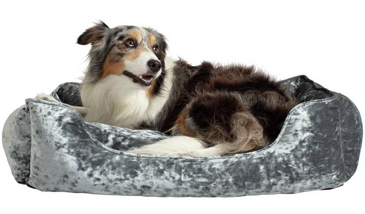 Argos extra large dog beds sale